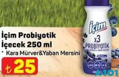 İÇİM PROBİYOTİK İÇECEK 250 ML